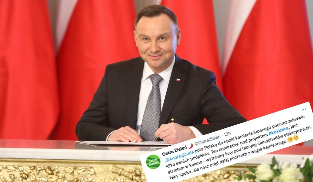 Prezydent podpisał ustawę "Lex Izera", dzięki której będzie można wyciąć las, aby postawić fabrykę samochodów elektrycznych