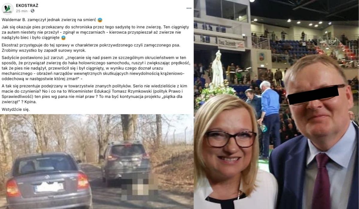 Były senator PiS oddał do schroniska innego psa, bo ten ciągnięty samochodem nie przeżył