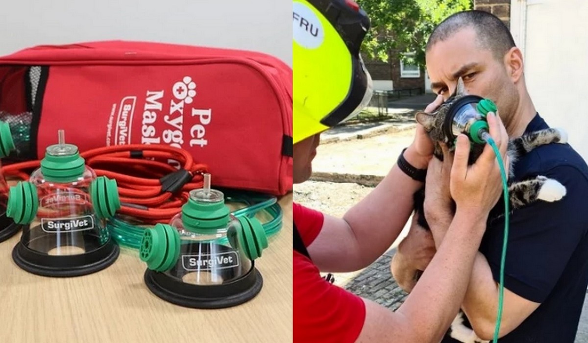 Londyńscy strażacy dostali na wyposażenie specjalne maski tlenowe dla zwierząt