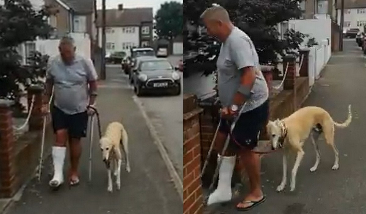 Internet odkrył ponownie historię faceta, który leczył psa nie wiedząc, że psina naśladuje go z sympatii i dla towarzystwa