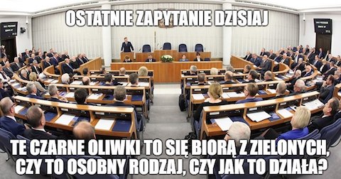 Senatorowie zamówili catering z greckiej restauracji. Za 307 tysięcy złotych