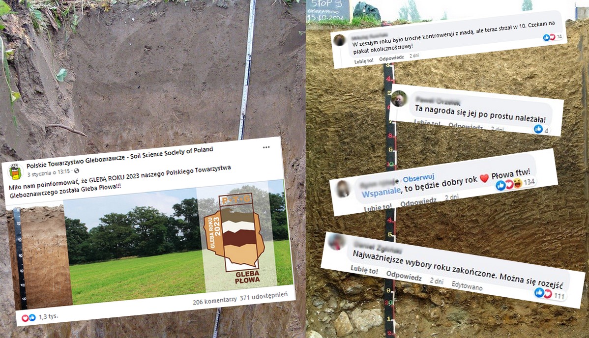 W konkursie na glebę roku wygrała gleba płowa, a to zawsze jakiś powód do świętowania