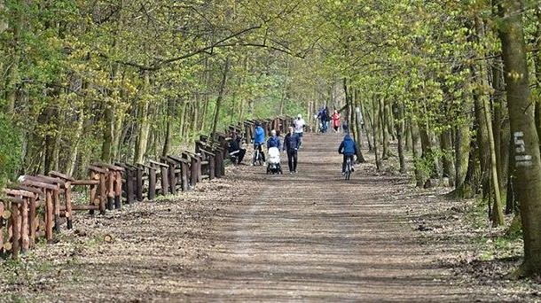 Radny PiS apeluje o zamknięcie Lasu Kabackiego. "Odbywają się tam imprezy, ogniska, grille"