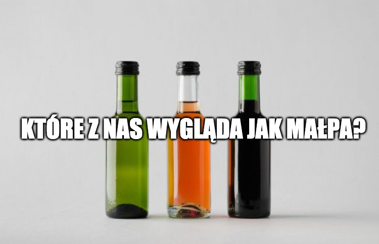 Branża winiarska gorąco prosi, żeby buteleczki wina nie były droższe i żeby nie nazywać ich małpkami