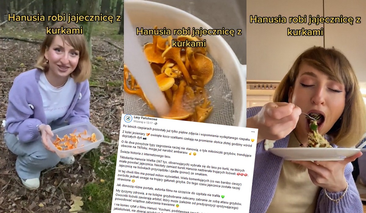 Lasy Państwowe skarciły influencerkę-grzybiarę, bo nazbierała trujących grzybów i myślała, że to kurki