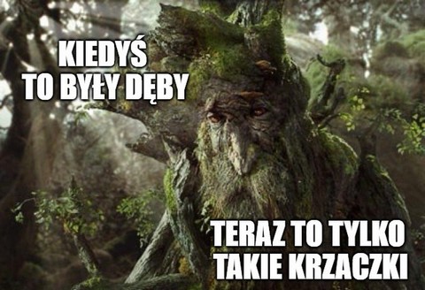 We Francji nie ma już takich drzew, z których można odbudować Notre Dame