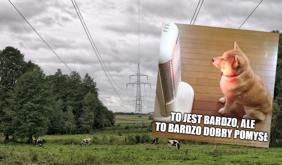 Holandia: rząd zaplanował opłacenie długów osób, których nie stać na rachunki za energię