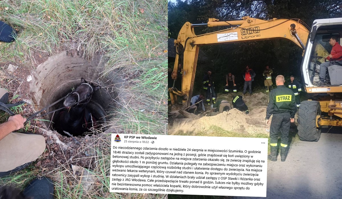 Szuminka: strażacy i bohaterski operator koparki uratowali konia ze studni