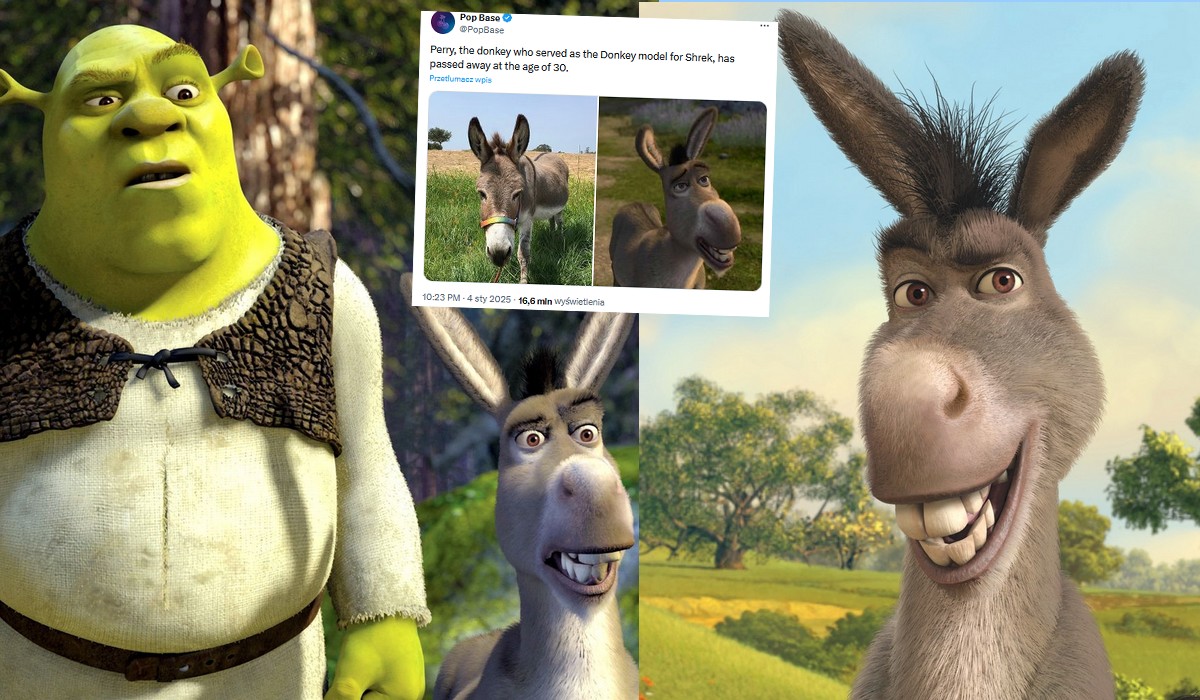 Zmarł osiołek, którym inspirowano się tworząc postać Osła ze "Shreka"