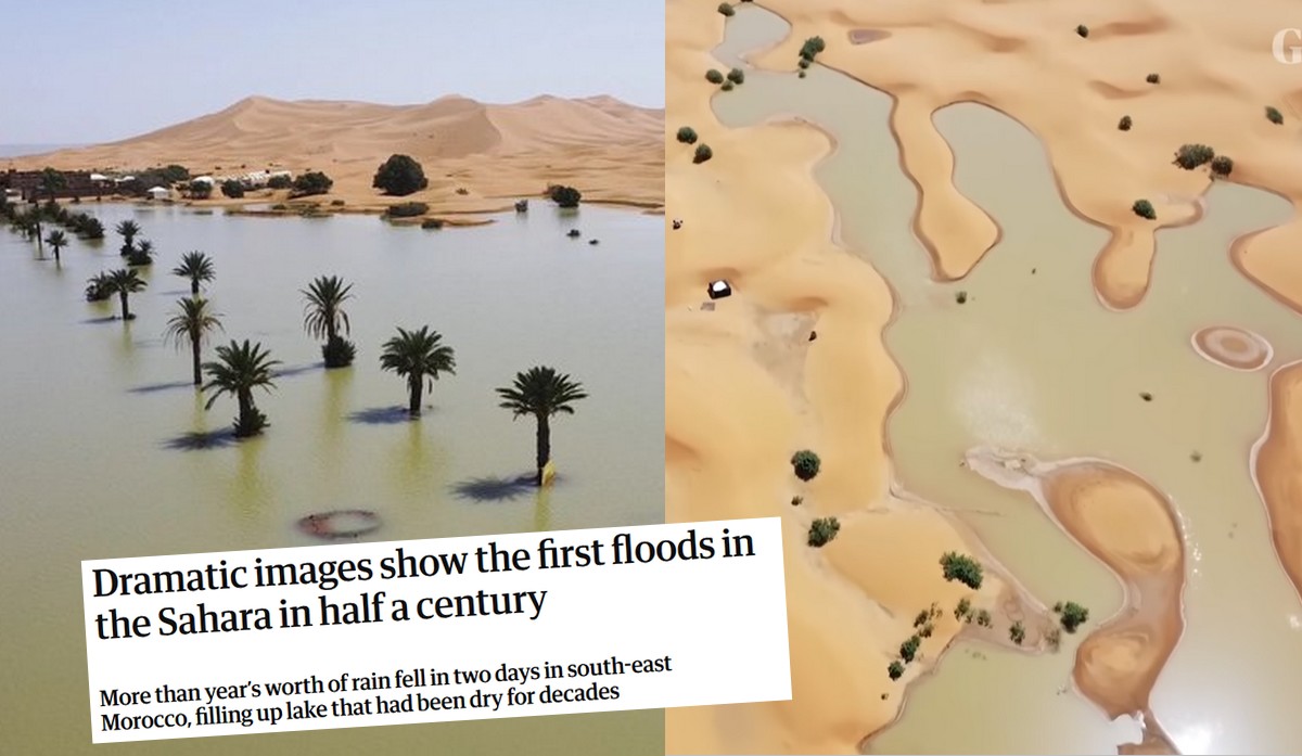 Sahara zmaga się z powodzią, od której nawet denialistom klimatycznym coś zgrzyta w głowach