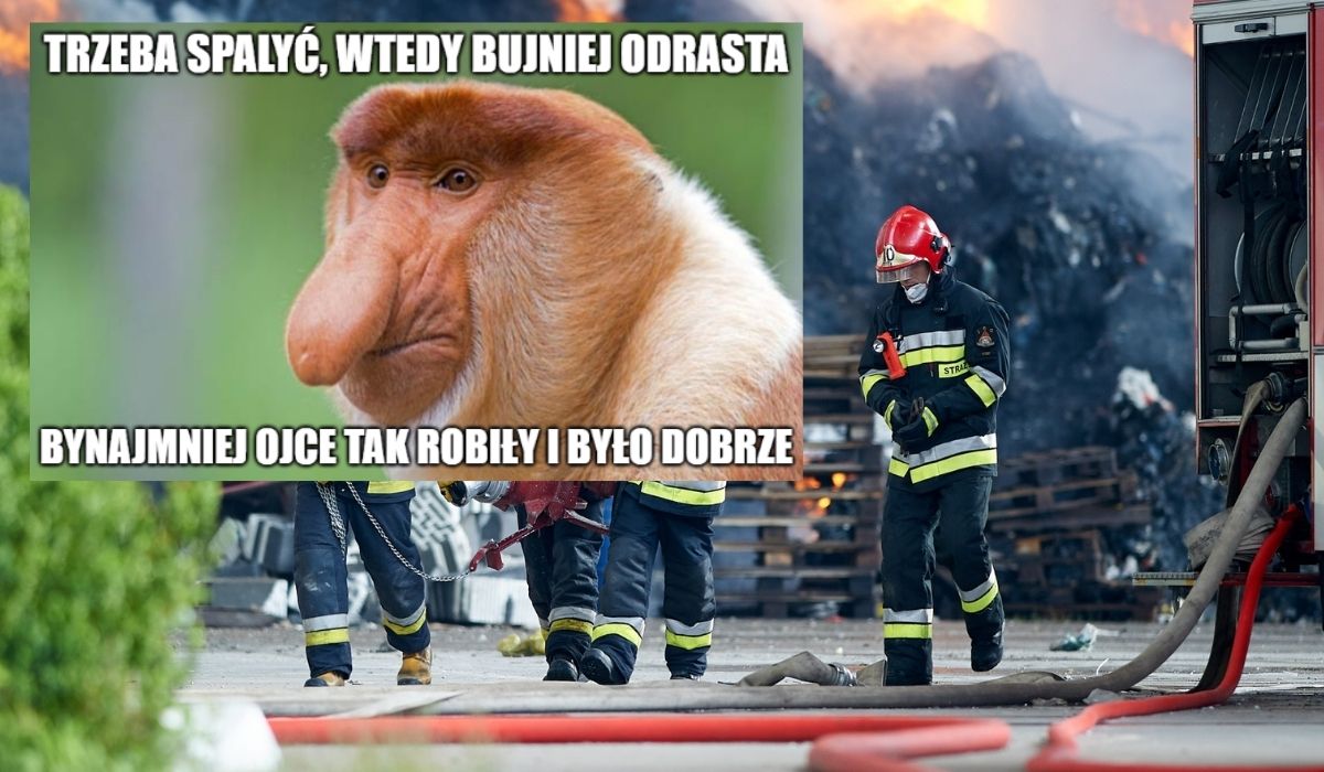 Wiosna w Polsce: ruszyło sezonowe wypalanie traw, strażacy mają znacznie więcej roboty