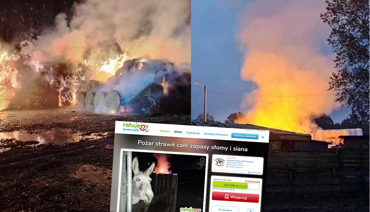 Przystań Ocalenie potrzebuje siana, pieniędzy i słomy, bo do wszystkich problemów doszedł pożar
