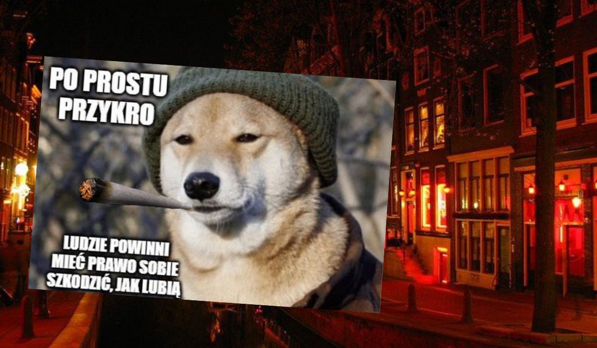 Holandia: władzom przestają podobać się turyści palący trawkę na ulicach w Amsterdamie, wprowadzają zakaz i godzinę policyjną