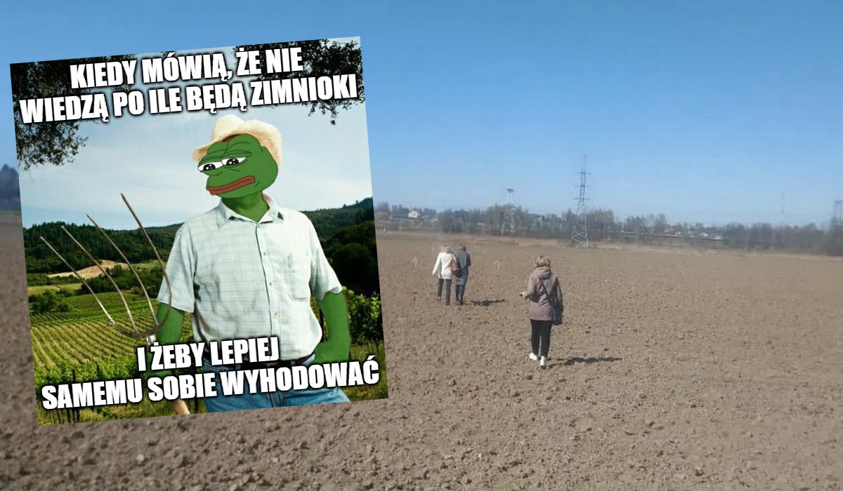 W związku z kryzysem pracownicy kaliningradzkiego Awtotoru dostają działki na ogródki warzywne