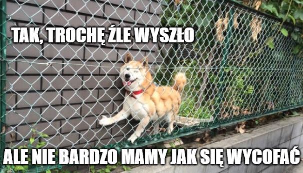 Pełnomocnik rządu o aferze maseczkowej: trzeba się cieszyć, że w ogóle są