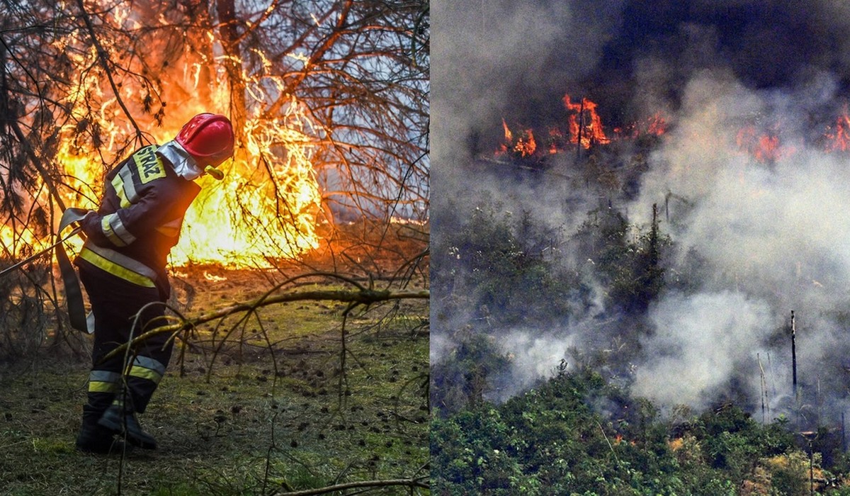 Rekordowa liczba pożarów w UE, w tym roku spaliły się ponad 660 000 hektarów lasów