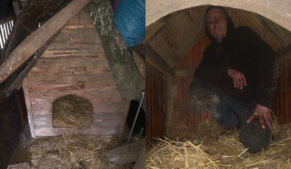 Świętokrzyskie: poszukiwany skrył się przed policją w psiej budzie, ale został znaleziony i uwieczniony