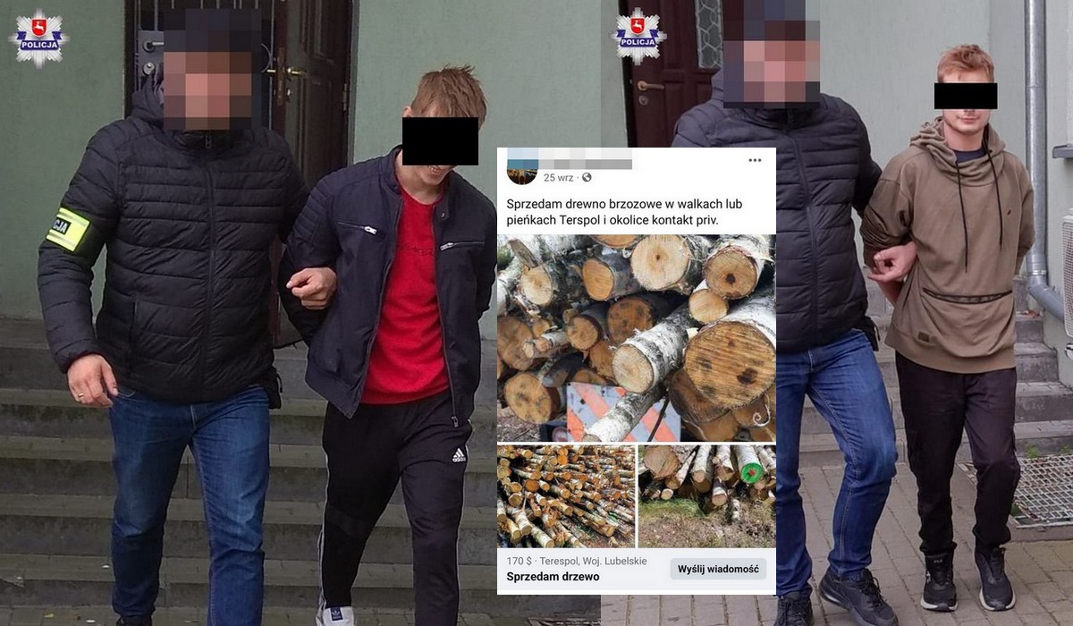 Biała Podlaska: policja złapała trzech cwaniaczków kradnących drzewa w lesie