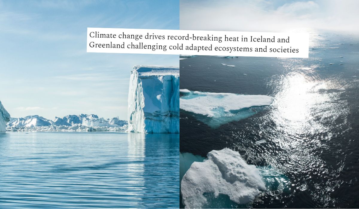 Grenlandia: tempo topnienia lodu dramatycznie przyśpieszyło, wyniki 17-krotnie szybsze niż przeciętnie