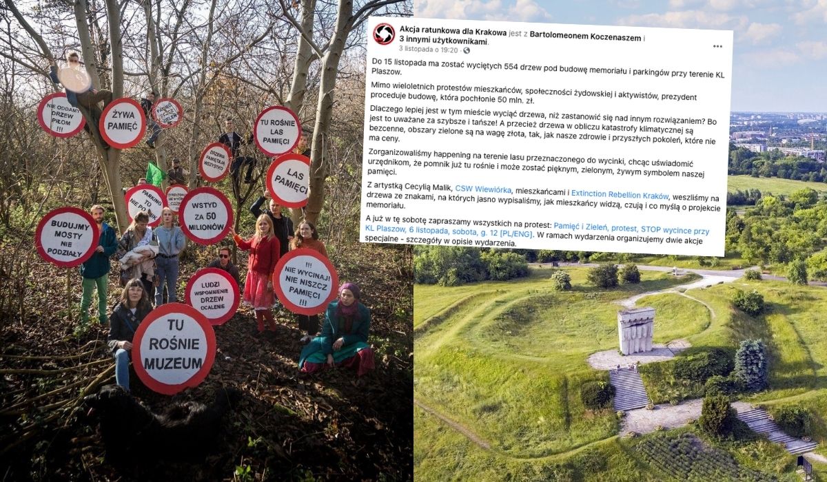 Kraków chce wyciąć 500 drzew, żeby zrobić miejsce dla muzeum, mieszkańcy protestują