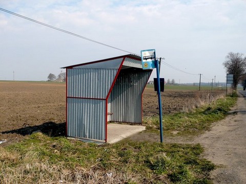 Politycy zorientowali się, że publiczny transport jest przydatny