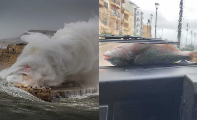 "Biblijny" sztorm u wybrzeży Malty. Morze wyrzuca ryby na ulice