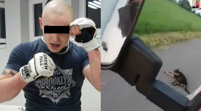 Rafał B., który umyślnie przejechał psa, wyszedł na wolność. Sąd nie przedłużył mu aresztu