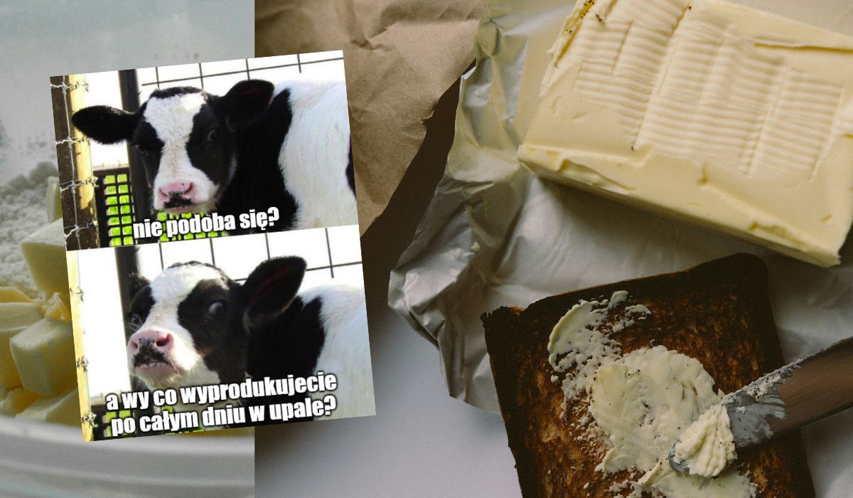 Przegrzane krowy dają mniej mleka, przez co rosną ceny masła, trend utrzyma się najpewniej do końca roku
