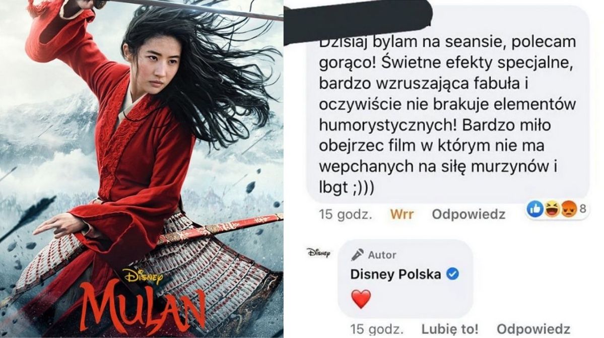 Agencja od Facebooka Disney Polska przeprasza za polubienie wpisu o "wepchanych na siłę murzynach i LGBT"