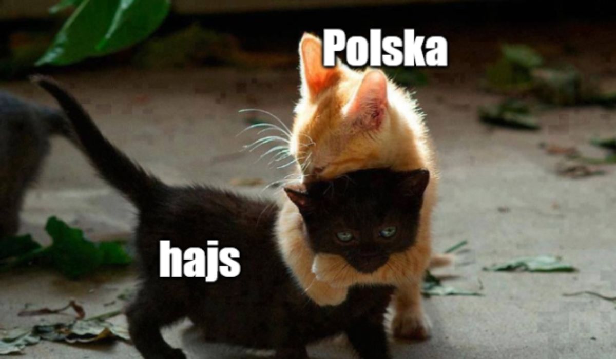 Polska otrzymała 5 mld euro na transformację energetyczną w ramach KPO