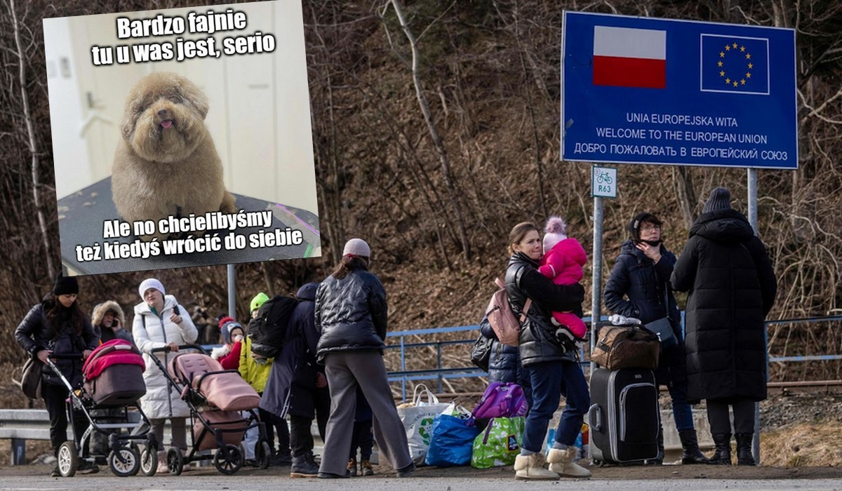 Badanie: 45% uchodźców z Ukrainy planuje pozostać w Polsce, także jakiś czas po końcu wojny