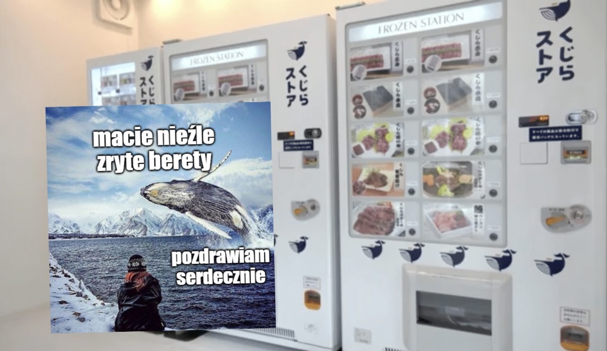 Japonia: firma postawiła automaty z mięsem wielorybów i zrobiła się afera na cały kraj