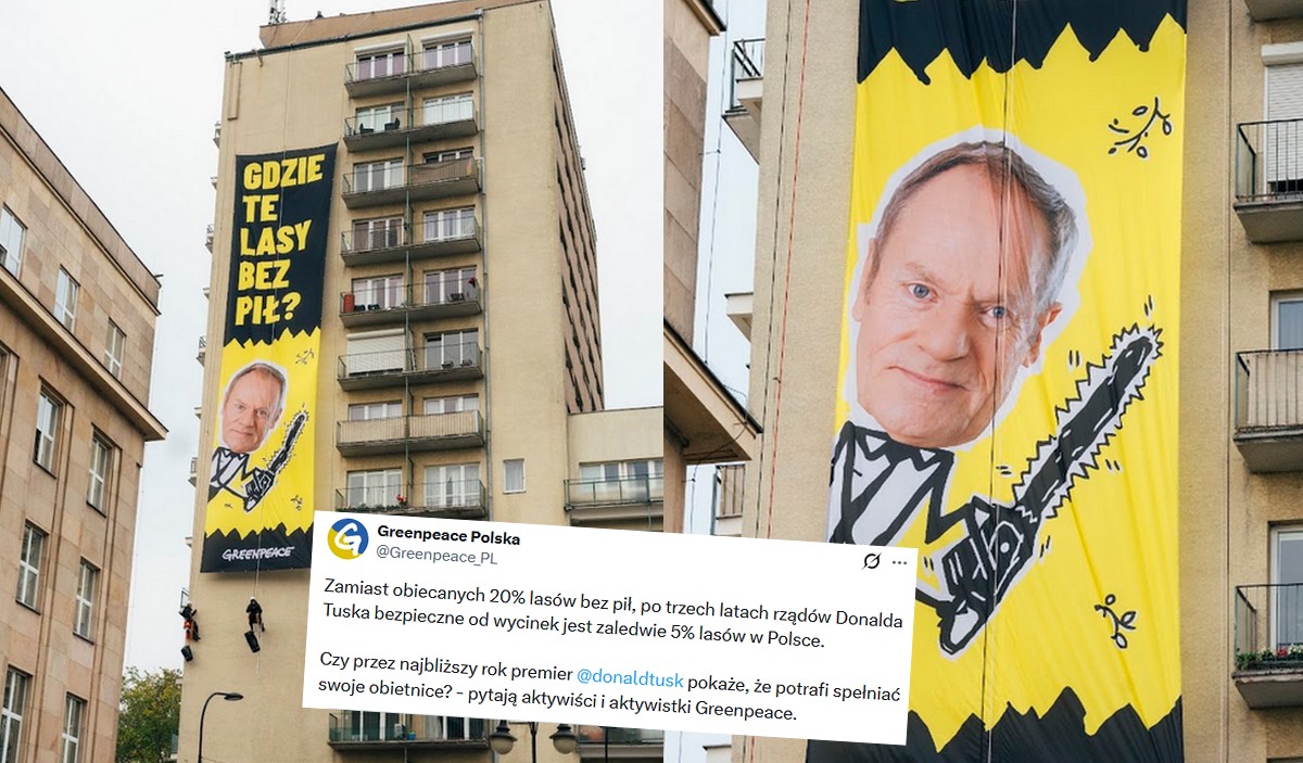 Aktywiści domagają się od premiera, żeby zaczął chronić lasy, jak obiecał w 100 konkretach