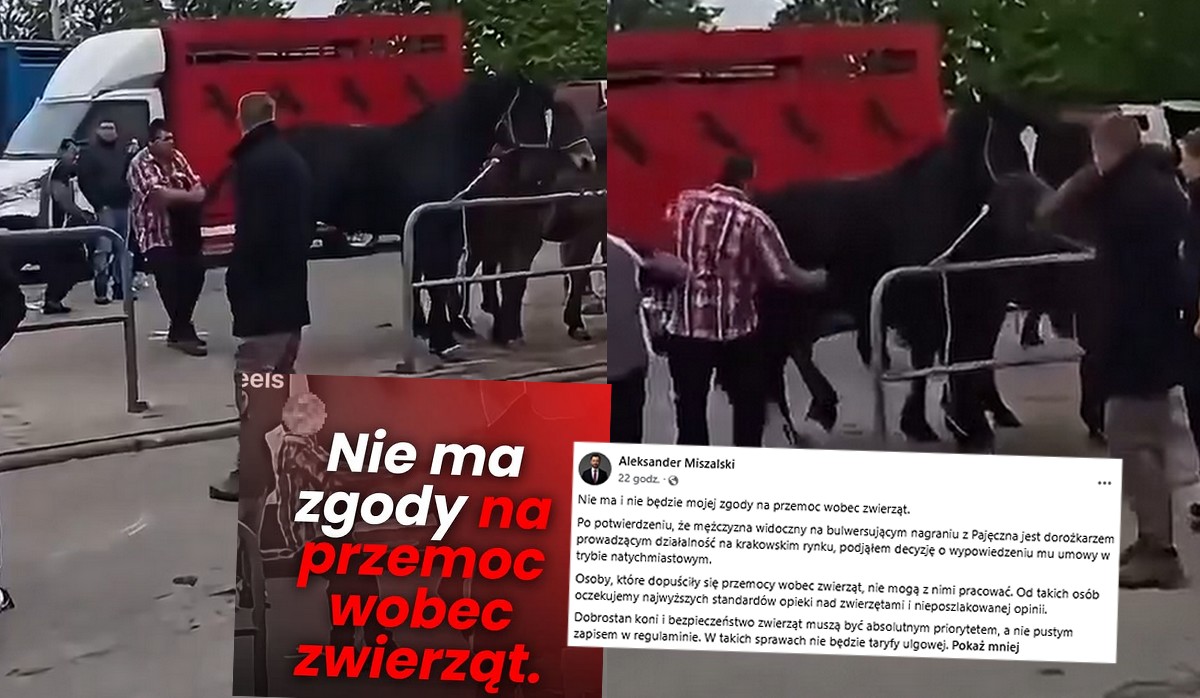 Prezydent Krakowa zwolnił dorożkarza, który maltretował konia na targach w Pajęcznie