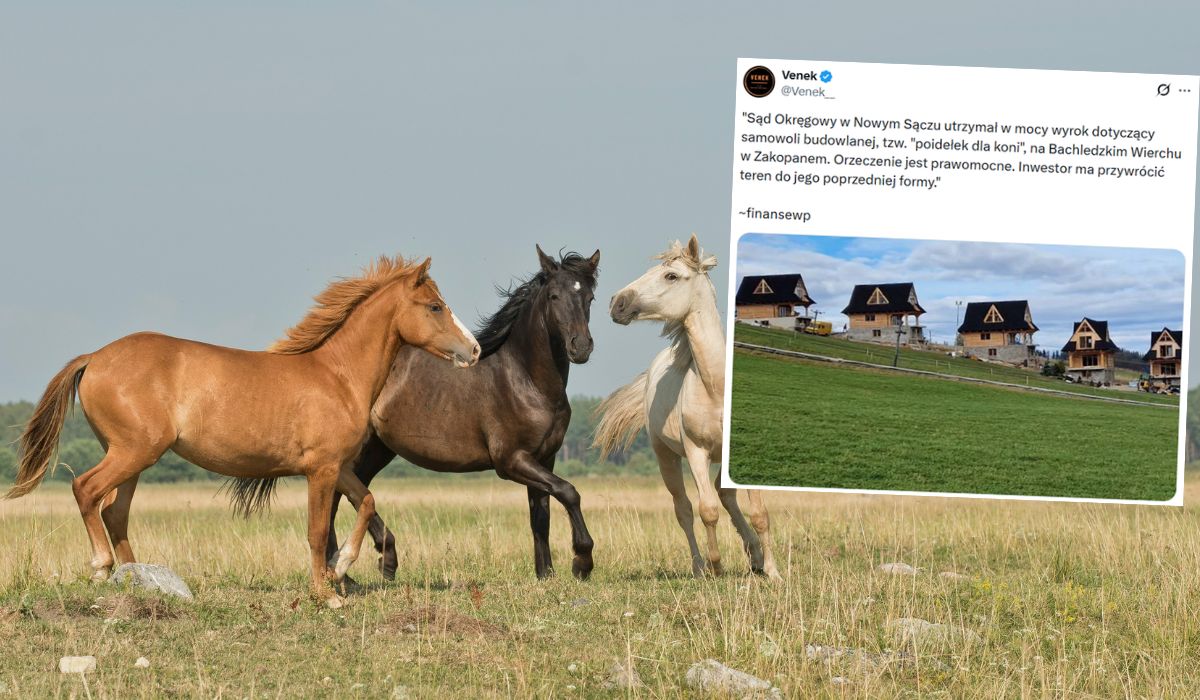 Zakopane: sąd nie nabrał się, że domki to poidełka dla koni i kazał wszystkie rozebrać jako samowolkę budowlaną