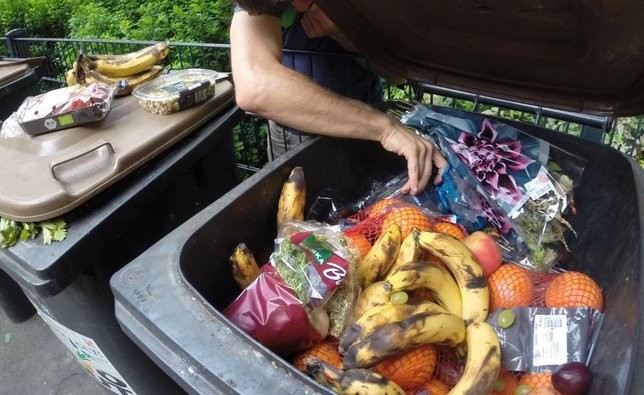 Wielkie sklepy nie mogą już wyrzucać jedzenia, którego nie mogą sprzedać, muszą przekazywać na pożyteczne cele
