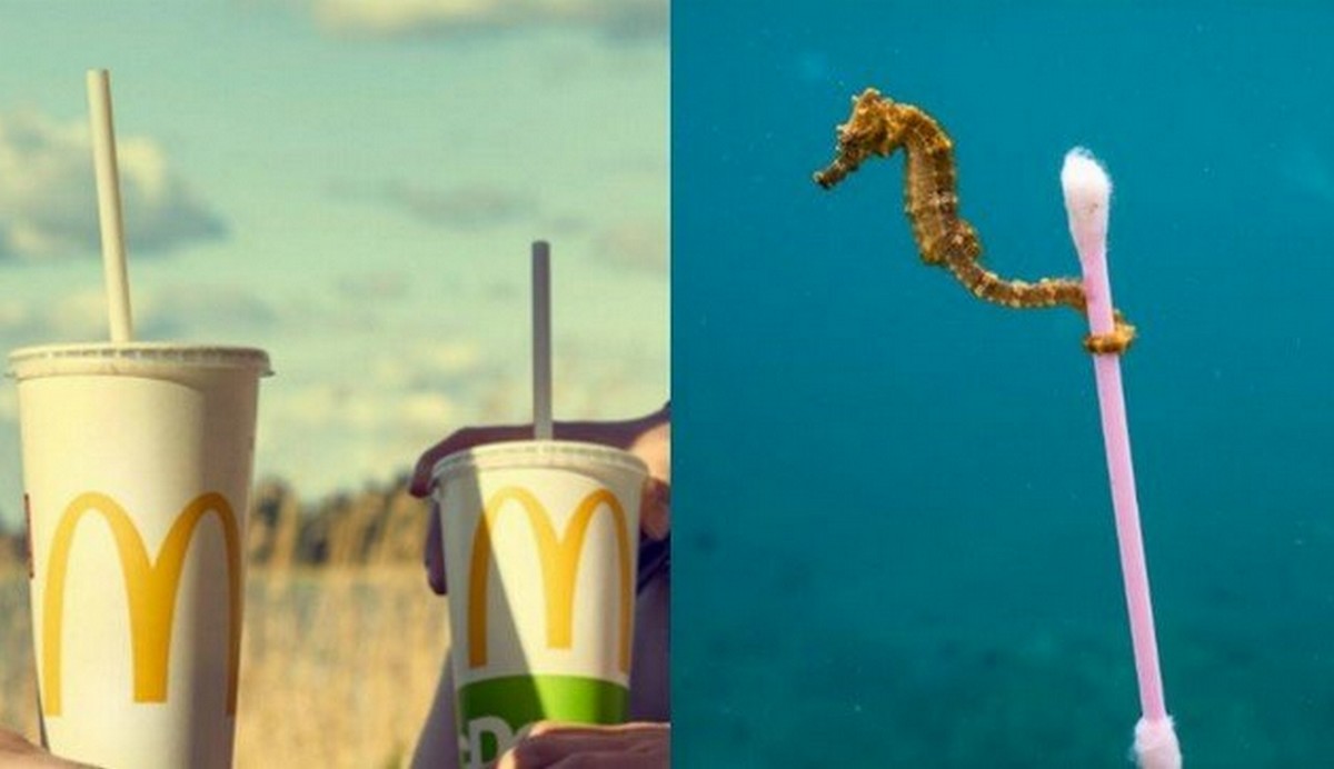 Grupa Azoty chwali się ekologicznym plastikiem zrobionym z ziemniaka: "może zastąpić foliówki"