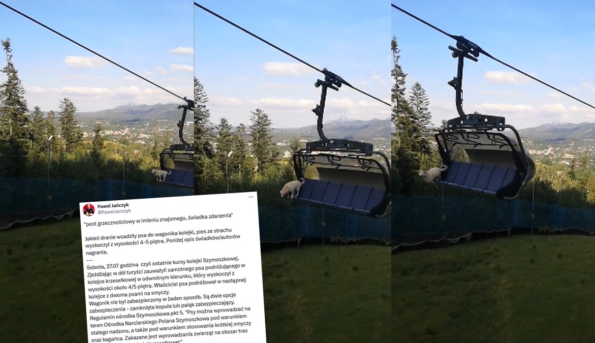 Polana Szymoszkowa: nagranie psa na kolejce obiegło internet jako ostrzeżenie przed głupotą