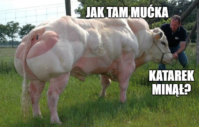 Raport o mięsie w Polsce: było dużo antybiotyków, jest jeszcze więcej