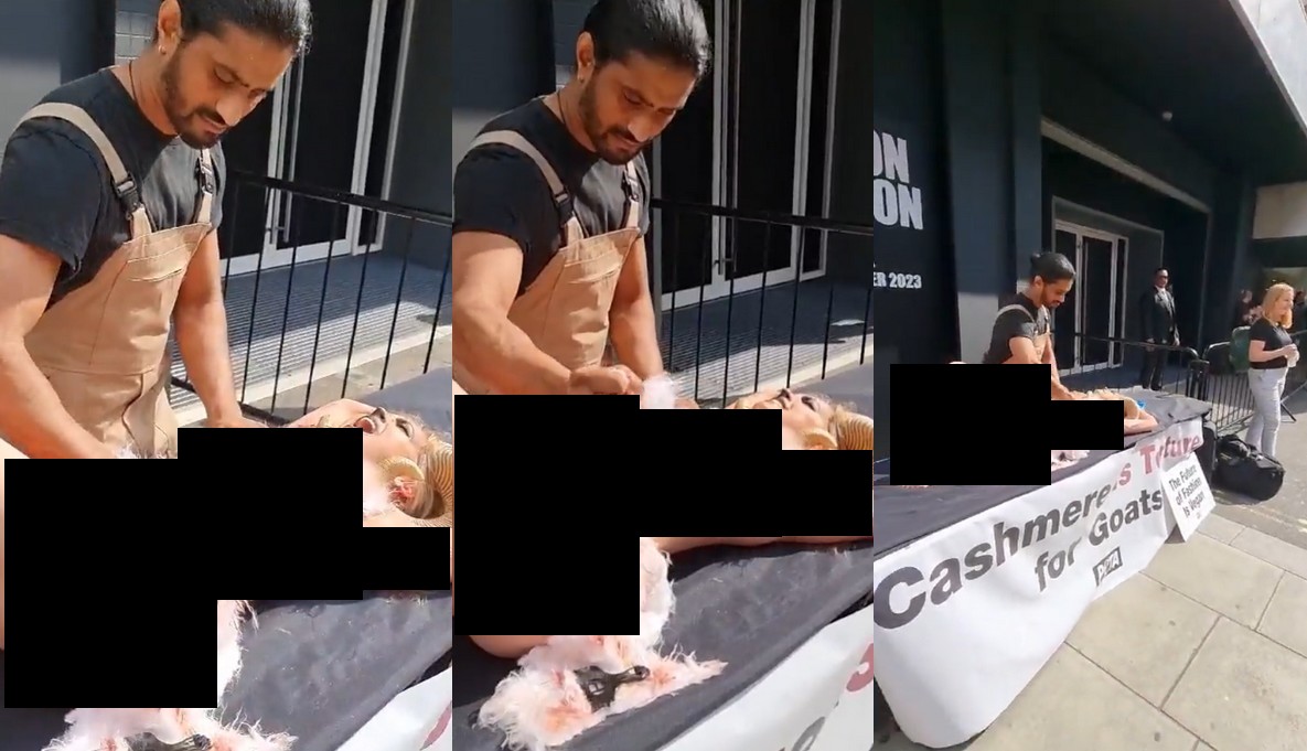 Organizacja PETA krytykowana za performance z kobietą-kozą, wyszło niezręcznie