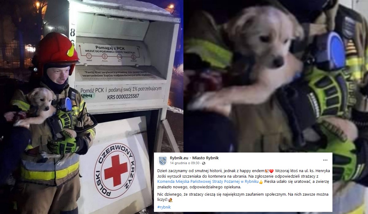 Rybnik: kobieta wrzuciła psa do pojemnika na ubrania, bo "pokłóciła się z rodziną"
