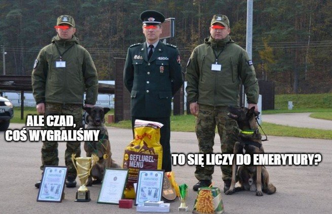 Straż Graniczna chce emerytur dla psów, żeby po służbie nie trafiały do schroniska