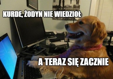 Austria chce zabronić publikowania anonimowych komentarzy w internecie