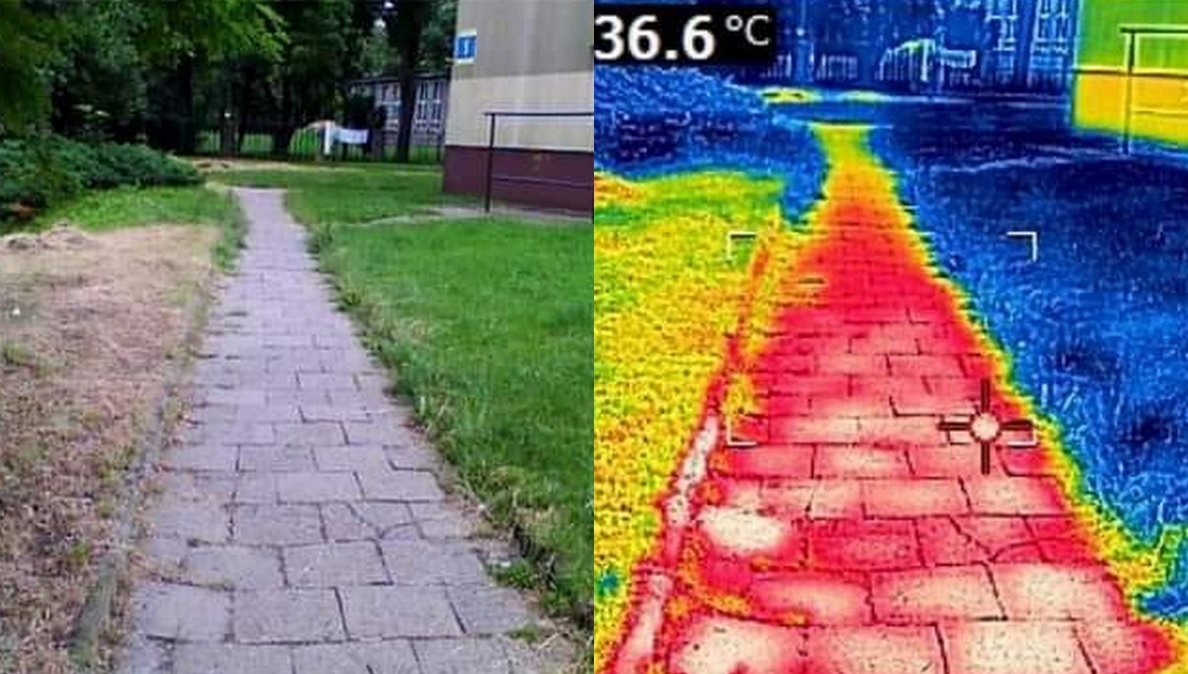 Hobbyści pokazali kamerą termowizyjną skutki koszenia traw do gołej ziemi