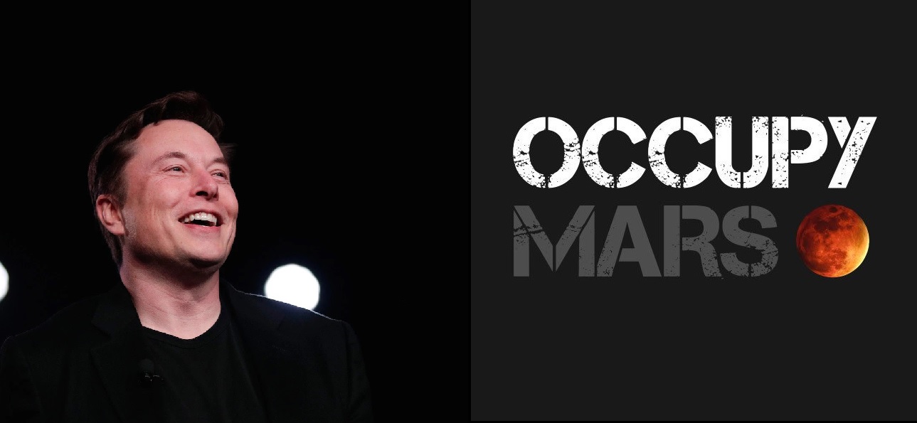 Elon Musk wrócił na Twittera