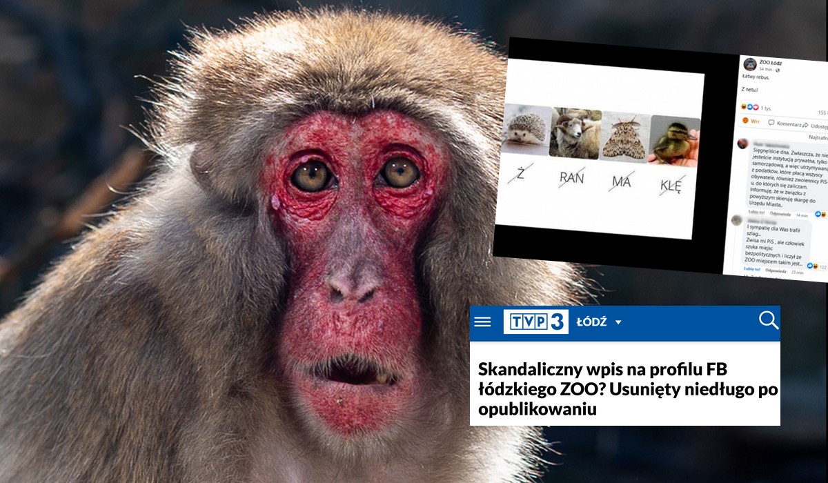 TVP kręci aferę, bo łódzkie zoo wrzuciło rebus uderzający w pewną partię
