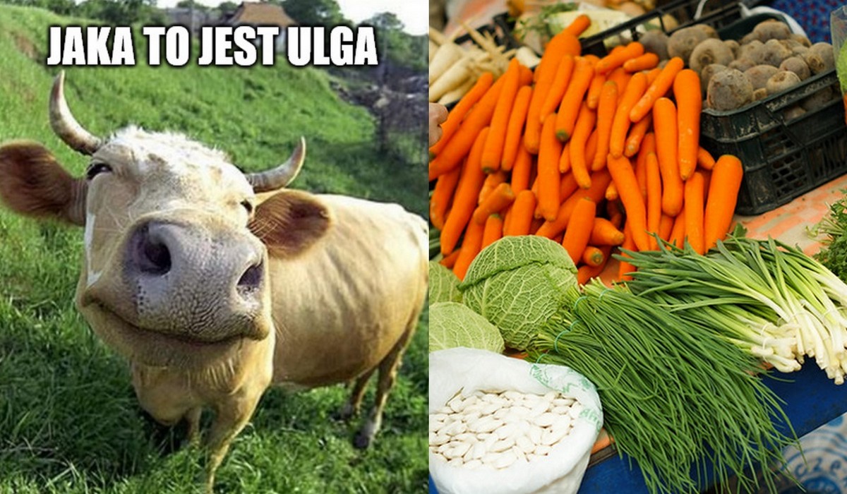 Norwegia: sklep wprowadził "paragony klimatyczne" i dzięki nim spadła sprzedaż czerwonego mięsa