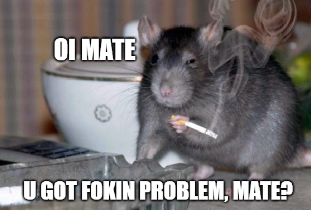 Lockdown sprawił, że szczury w Londynie odżyły jak nigdy, rozmnożyły się i śmielej grasują