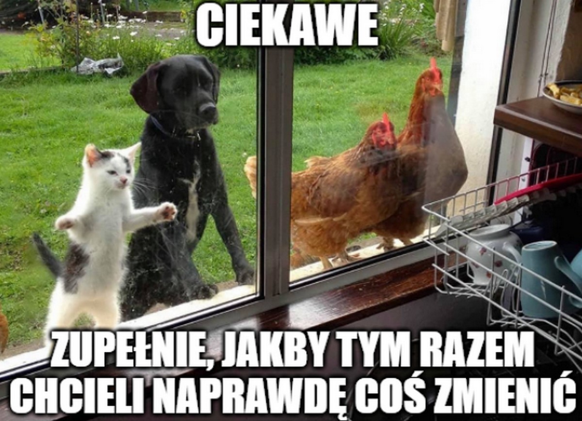 Unia Europejska na serio proponuje polityki klimatyczne, o które teraz będą kłótnie