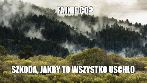 Naukowcy: Zginiemy wszyscy